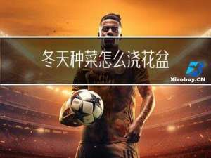 冬天种菜怎么浇花盆