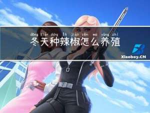 冬天种辣椒怎么养殖