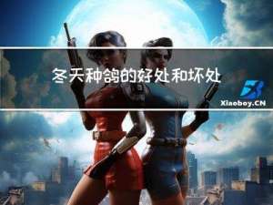 冬天种鸽的好处和坏处