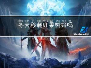 冬天移栽红果树好吗