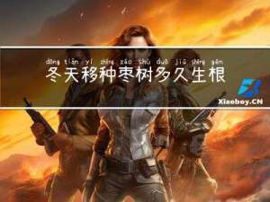 冬天移种枣树多久生根发芽
