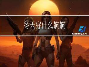 冬天穿什么狗狗