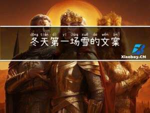 冬天第一场雪的文案