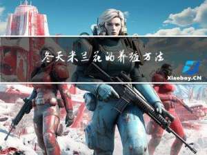 冬天米兰花的养殖方法