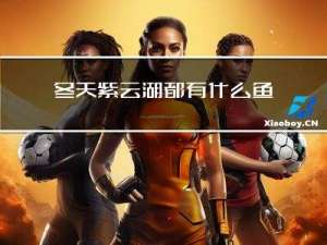 冬天紫云湖都有什么鱼