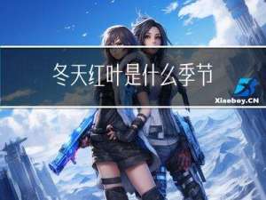 冬天红叶是什么季节