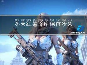 冬天红薯冷库保存多久