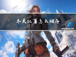 冬天红薯怎么储存