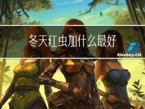 冬天红虫加什么最好