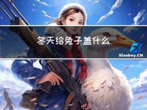 冬天给兔子盖什么