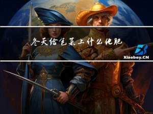 冬天给包菜上什么化肥