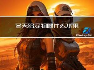 冬天给宠物喂什么水果