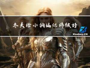 冬天给小狗编织棉被好吗