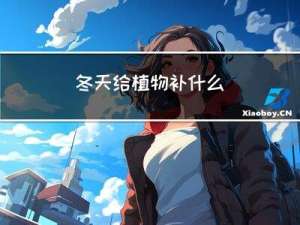 冬天给植物补什么