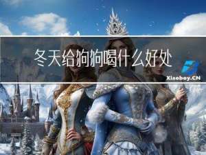 冬天给狗狗喝什么好处