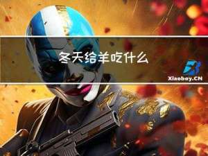 冬天给羊吃什么