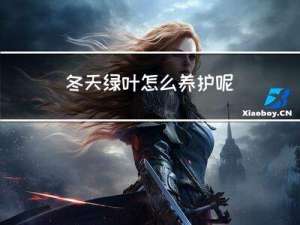 冬天绿叶怎么养护呢