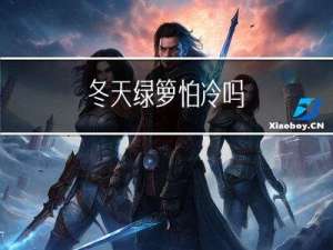 冬天绿箩怕冷吗