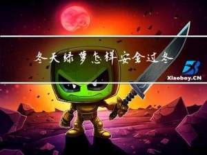 冬天绿萝怎样安全过冬
