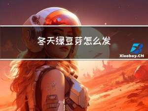 冬天绿豆芽怎么发