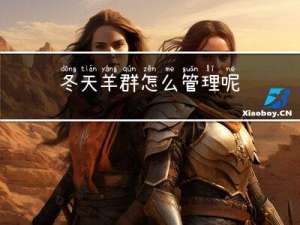 冬天羊群怎么管理呢
