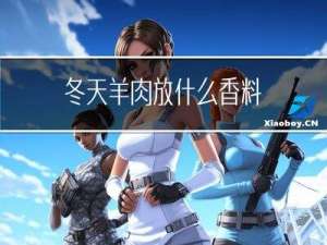 冬天羊肉放什么香料