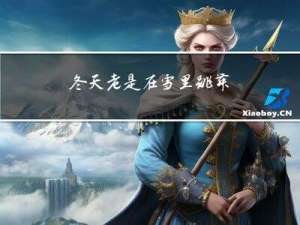 冬天老是在雪里跳舞