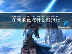 冬天老鼠吃什么好消化
