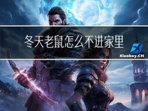 冬天老鼠怎么不进家里