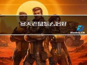 冬天老鼠怎么治好