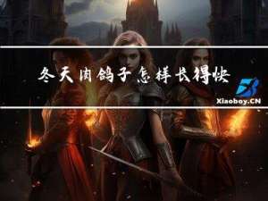 冬天肉鸽子怎样长得快