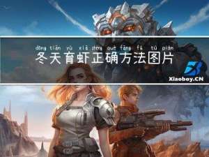 冬天育虾正确方法图片