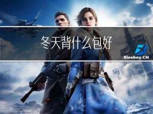冬天背什么包好