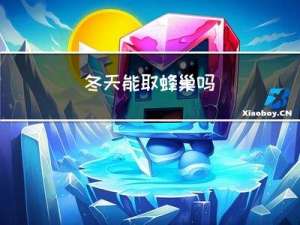 冬天能取蜂巢吗