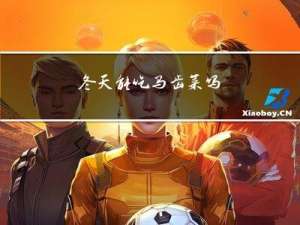 冬天能吃马齿菜吗