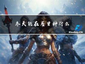 冬天能在屋里种什么