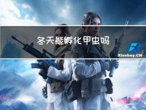 冬天能孵化甲虫吗