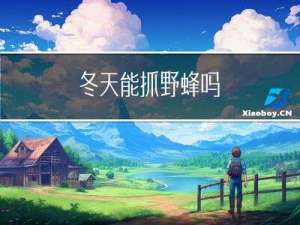 冬天能抓野蜂吗