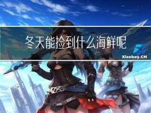 冬天能捡到什么海鲜呢