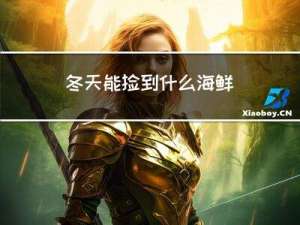冬天能捡到什么海鲜