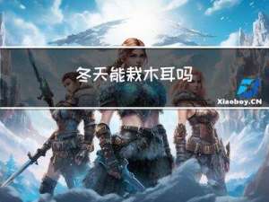 冬天能栽木耳吗
