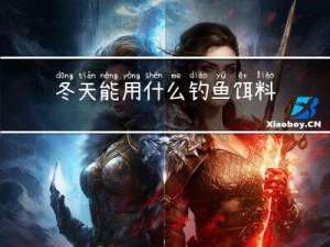冬天能用什么钓鱼饵料