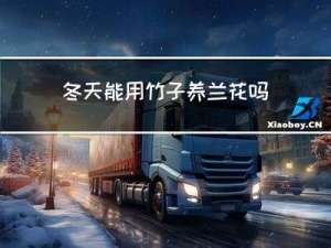 冬天能用竹子养兰花吗