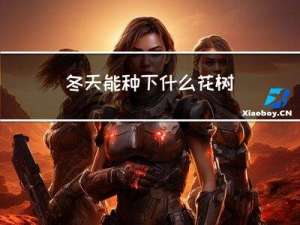 冬天能种下什么花树
