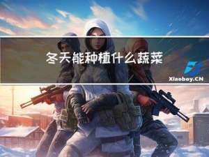 冬天能种植什么蔬菜