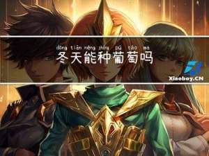 冬天能种葡萄吗