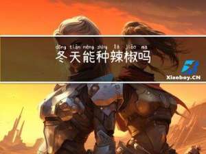 冬天能种辣椒吗