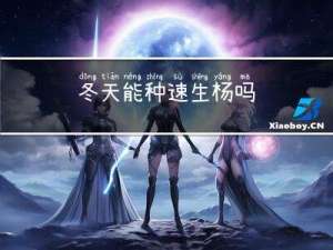 冬天能种速生杨吗