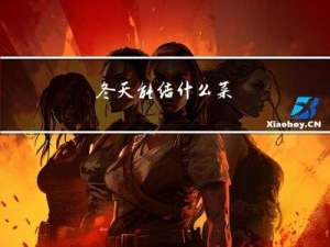 冬天能结什么菜