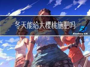 冬天能给大樱桃施肥吗
